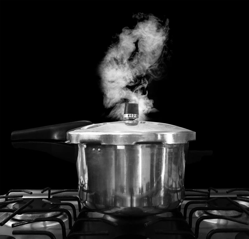 Instant Pot Multi-Cooker